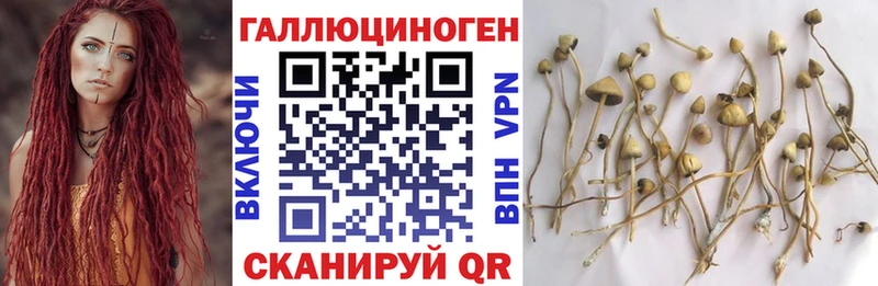 Галлюциногенные грибы мицелий  Пыталово 